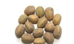 吃瓜爆料小巴豆视频,视频背后的惊人真相